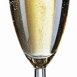 Null 36er Set - Weinkelch Ballon Profi 19cl / 0,1 L Geeicht 10 Null 36er Set - Weinkelch Ballon Profi 19cl / 0,1 L Geeicht -Paulaner shop 010f2f3c d3ca 4ca4 b951 d7729ca284c9 2