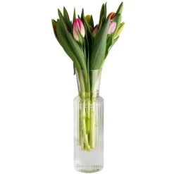 APS Glaskaraffe -LINES- Ø 8 Cm, H: 27 Cm, 0,9 Liter 14 APS Glaskaraffe -LINES- Ø 8 Cm, H: 27 Cm, 0,9 Liter -Paulaner shop 410b5f29 9320 4050 9c14 65430f69c73d