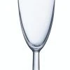 Arcoroc ARC 39082 Reims Sektkelch, Sektglas, 145ml, Glas, Transparent, 72 Stück -Paulaner shop 44bdcc03 9c46 4cf6 8506 db5de8b667f4 3 scaled