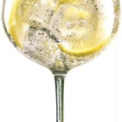 12x Arcoroc Viticole Degustationskelch 21,5cl * - Arcoroc Transparent -Paulaner shop 647a1e0d 8722 45d3 bf25 7fe669f87ec6