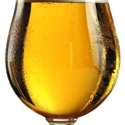 Null Bierglas 6er Set Biergläser BERLIN 0,3 Liter -Paulaner shop 82acff3e 6746 477f aa3d a67e80506c0c