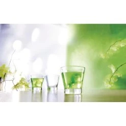 Arcoroc Shetland Tumbler 25cl -Paulaner shop 83edd5e0 042d 48ea 84f3 81f6be28f492