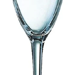 24 X Vina Sektkelch 19cl * - Arcoroc Transparent -Paulaner shop d28ee34f 9bf8 45fc 9301 5423ee63050d